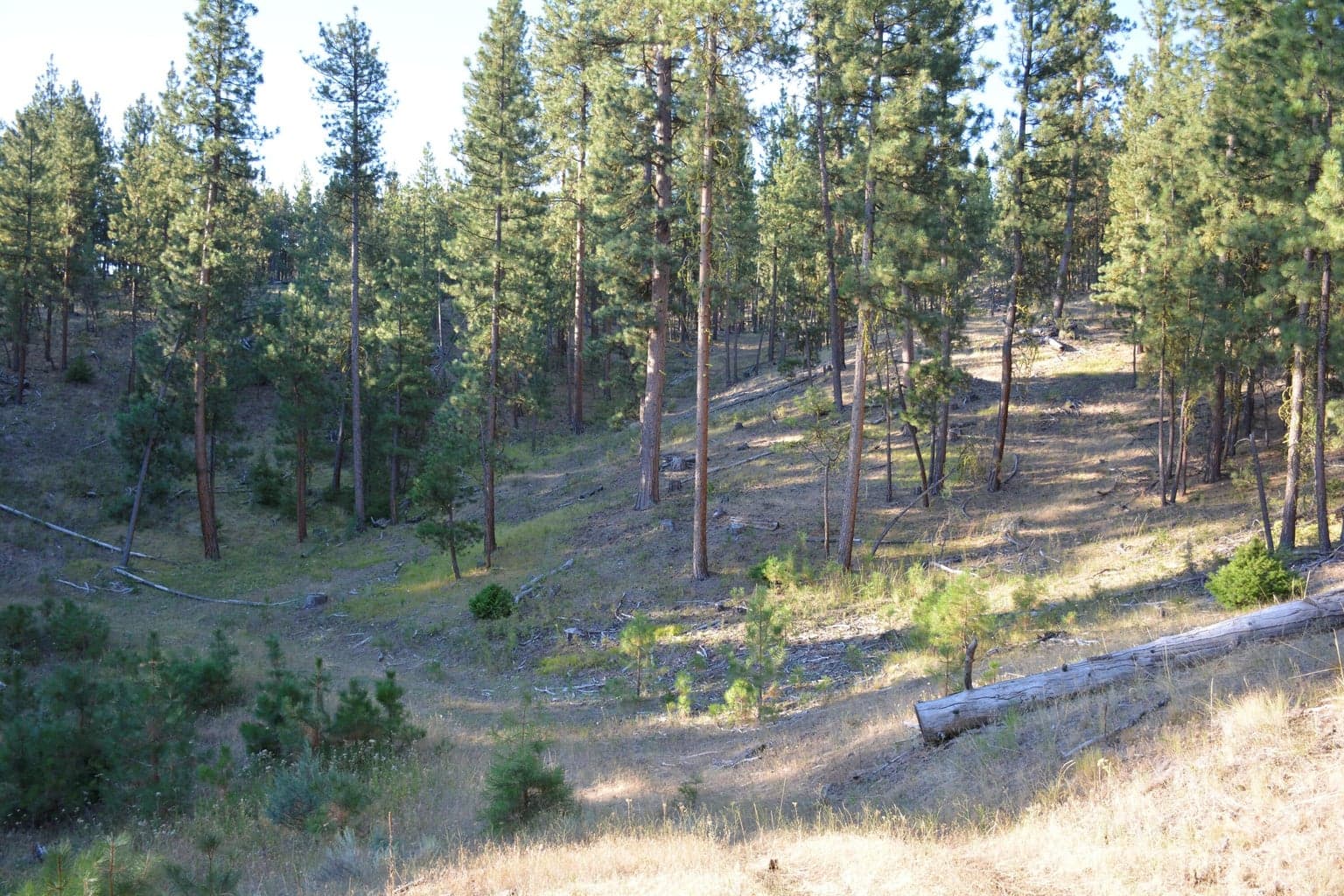 Photo of TBD Allen Creek Road 9 of 24