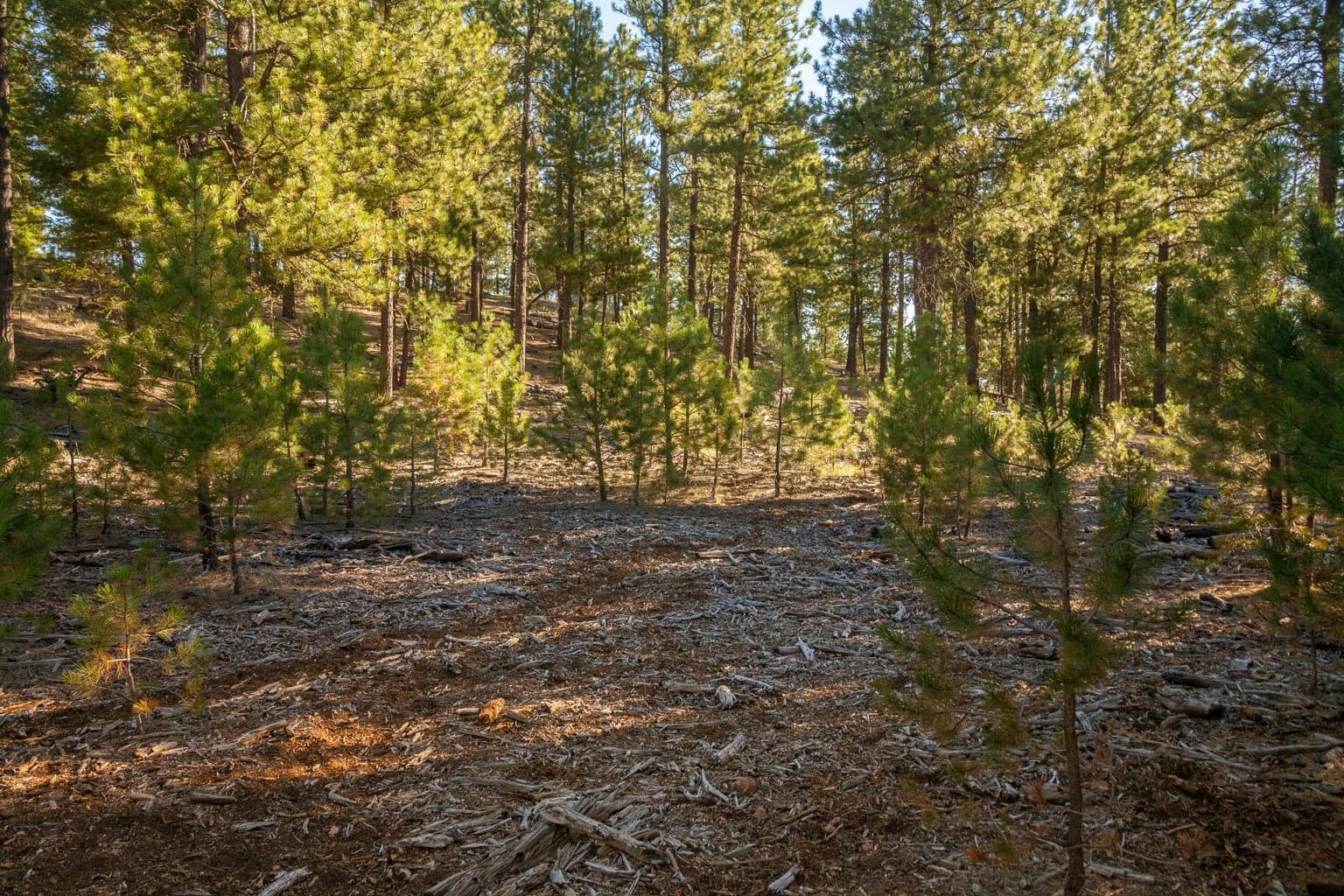 Photo of TBD Allen Creek Road 12 of 24