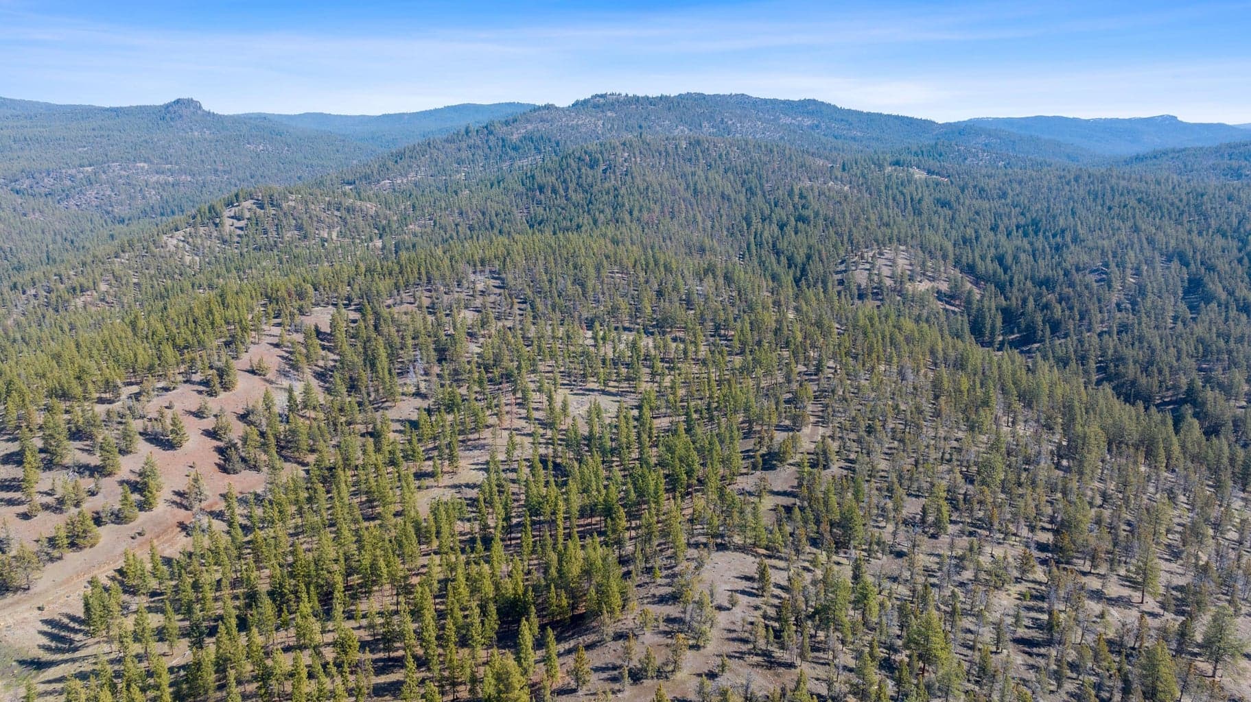 Photo of TBD Allen Creek Road 14 of 24
