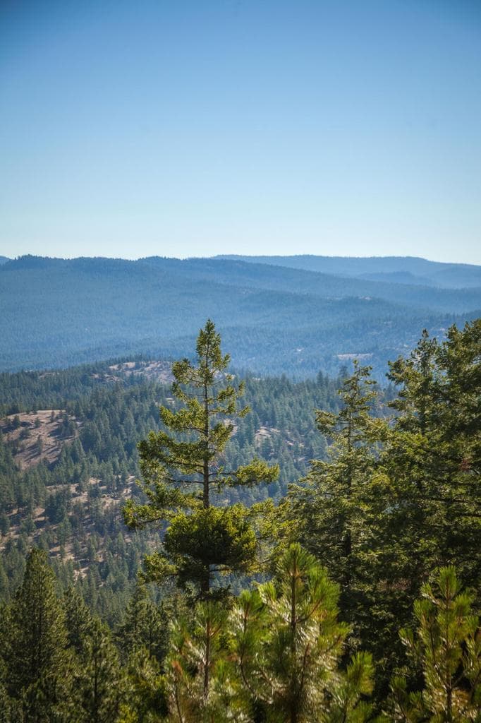 Photo of TBD Allen Creek Road 15 of 24