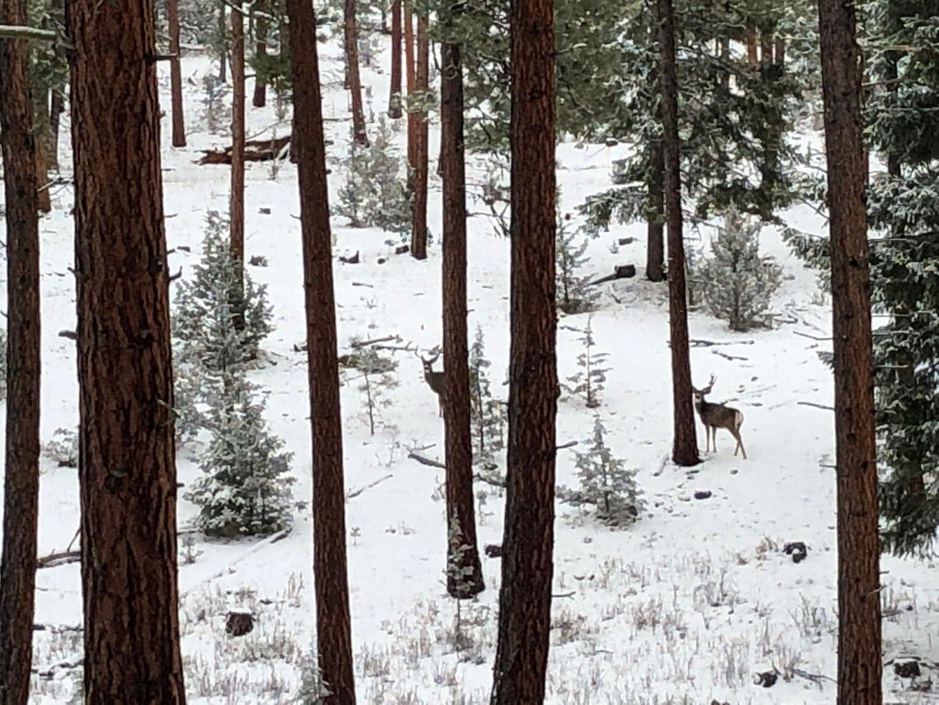 Photo of TBD Allen Creek Road 16 of 24
