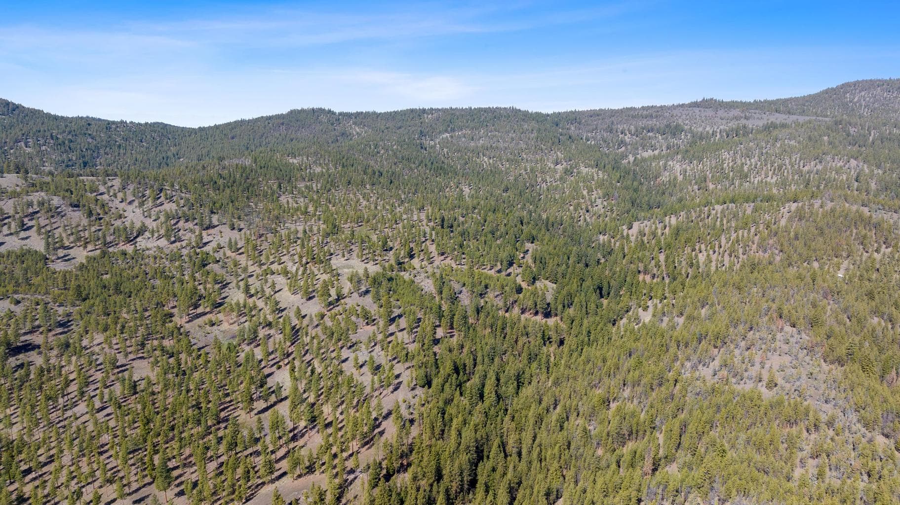 Photo of TBD Allen Creek Road 17 of 24