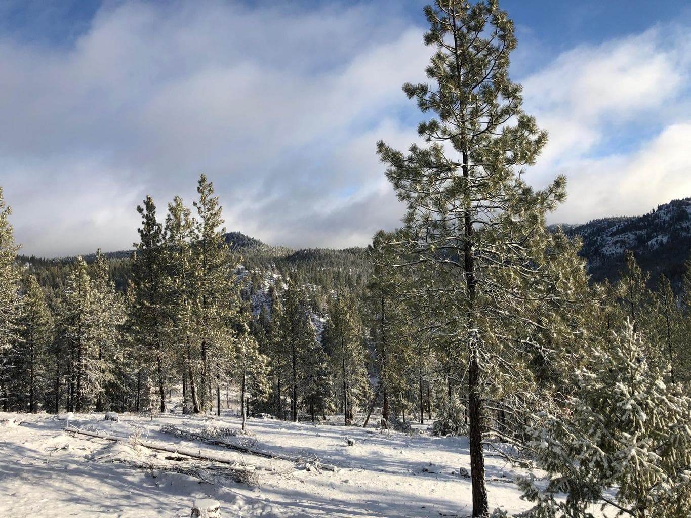Photo of TBD Allen Creek Road 19 of 24
