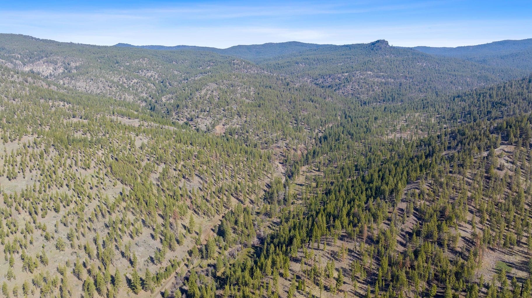 Photo of TBD Allen Creek Road 20 of 24