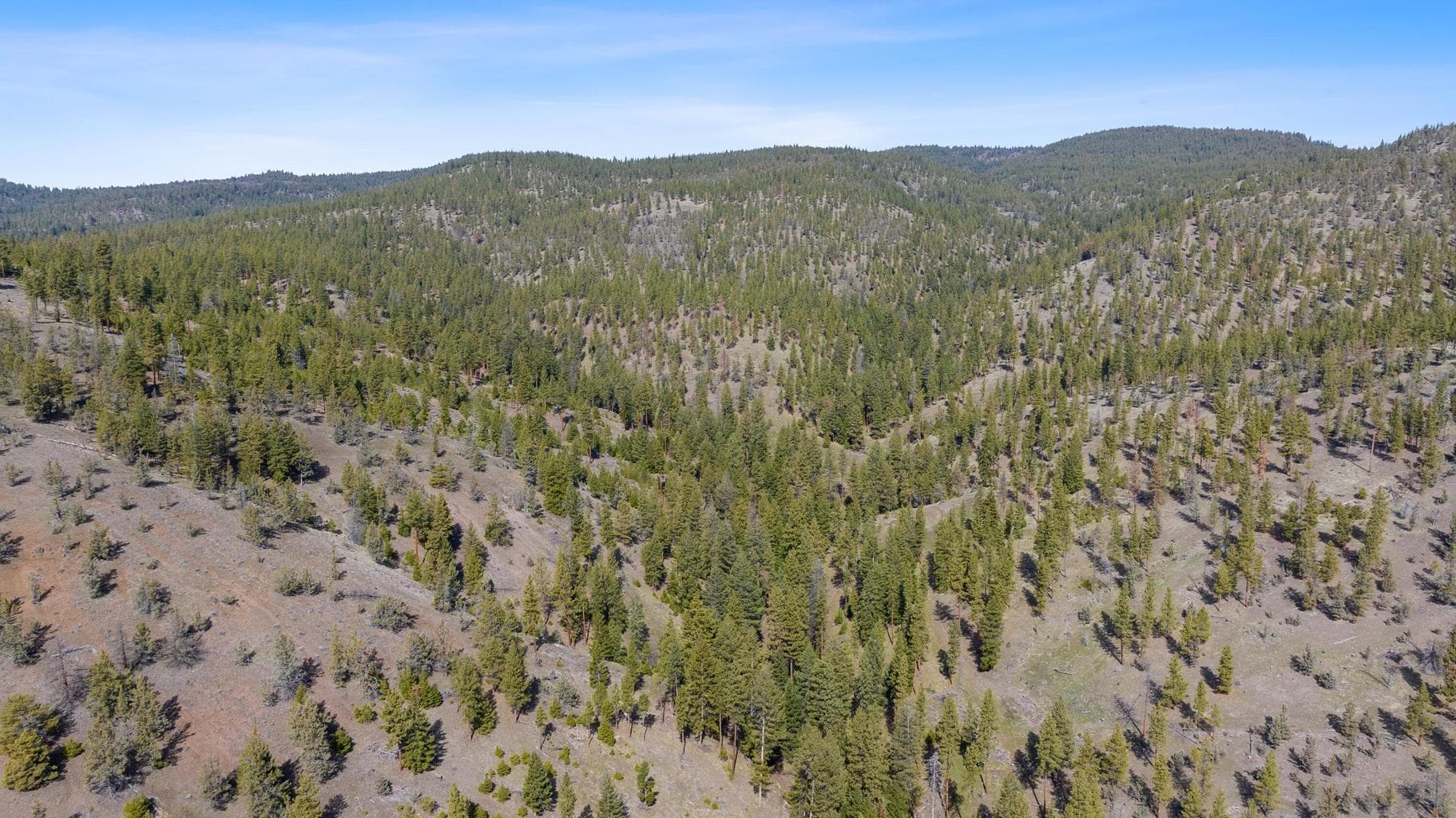 Photo of TBD Allen Creek Road 22 of 24