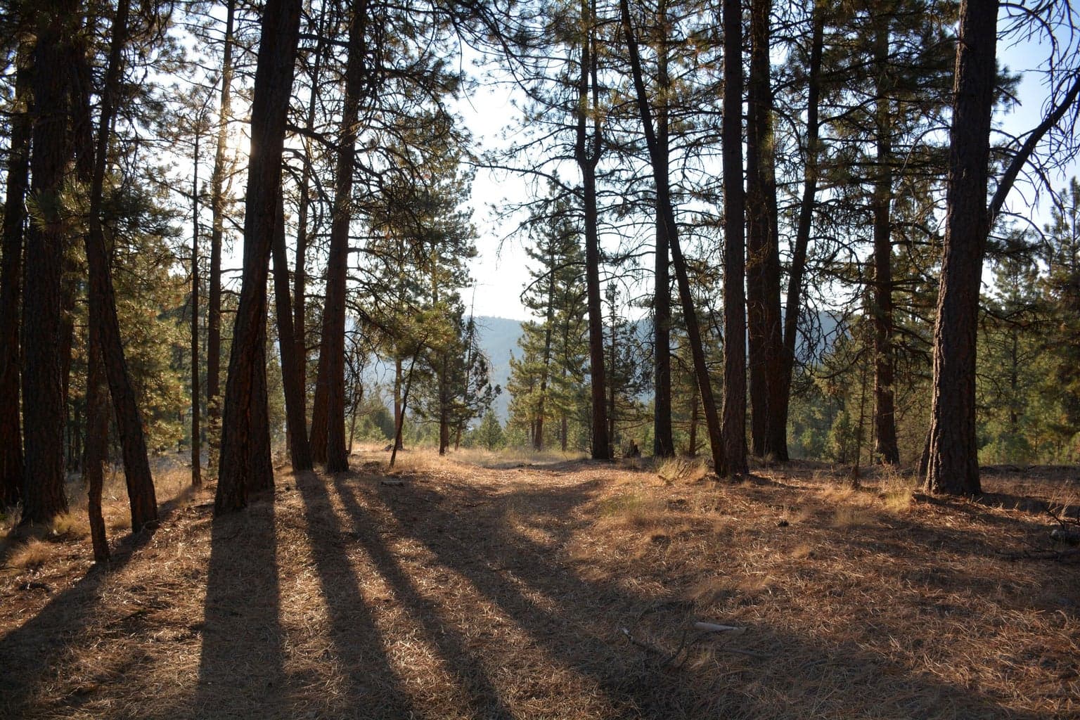 Photo of TBD Turner Creek Road 6 of 13