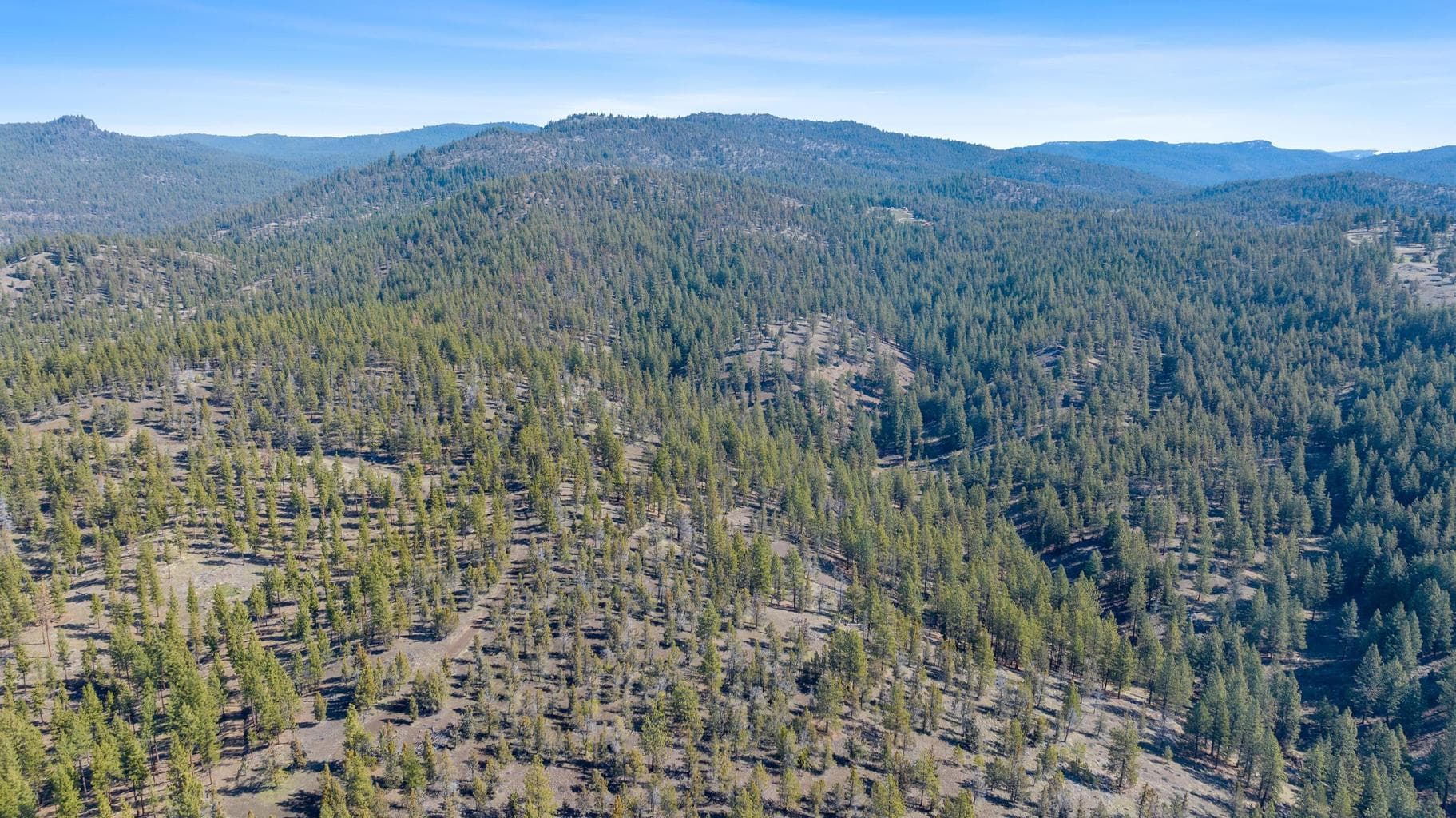 Photo of TBD Turner Creek Road 7 of 13