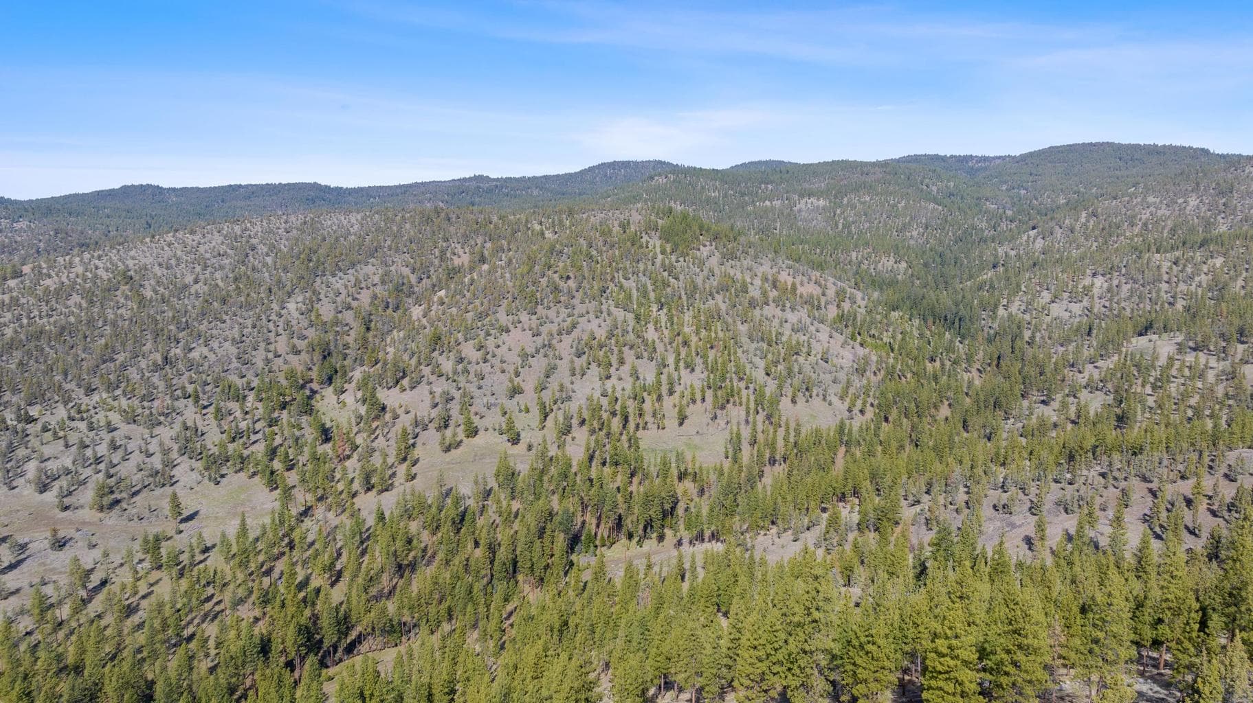Photo of TBD Turner Creek Road 9 of 13