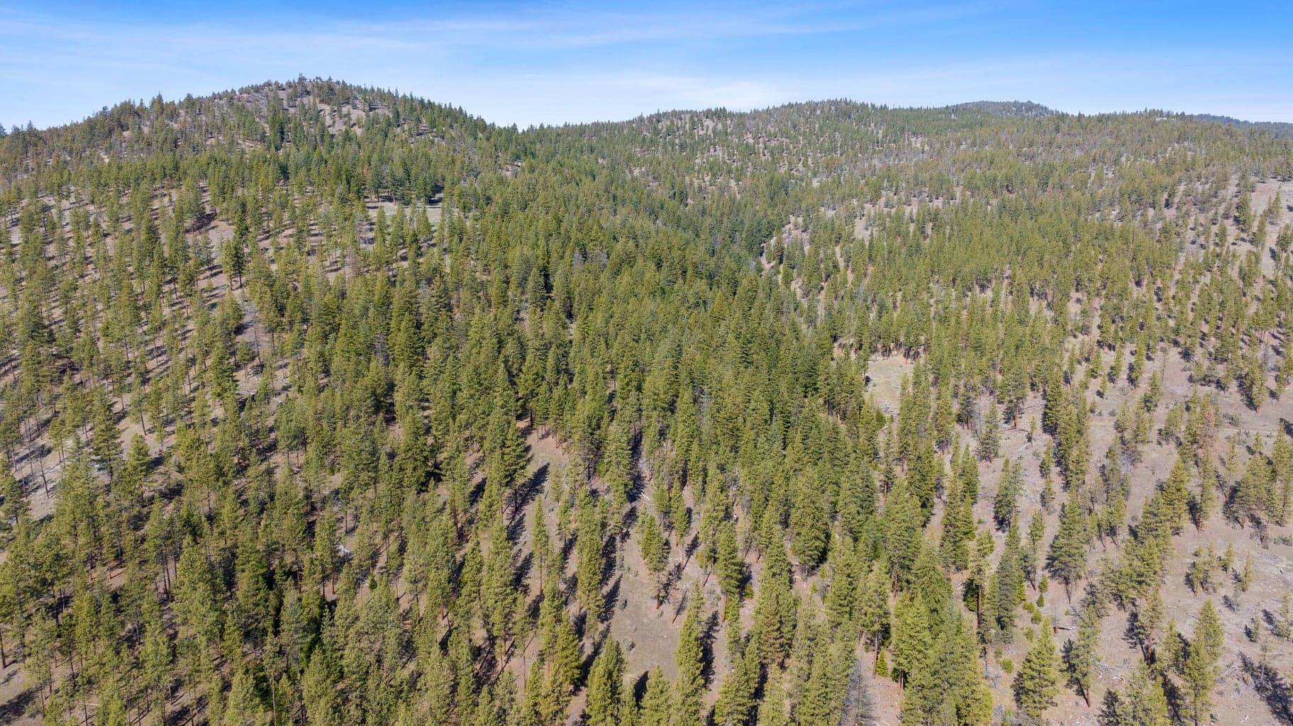 Photo of TBD Turner Creek Road 11 of 13
