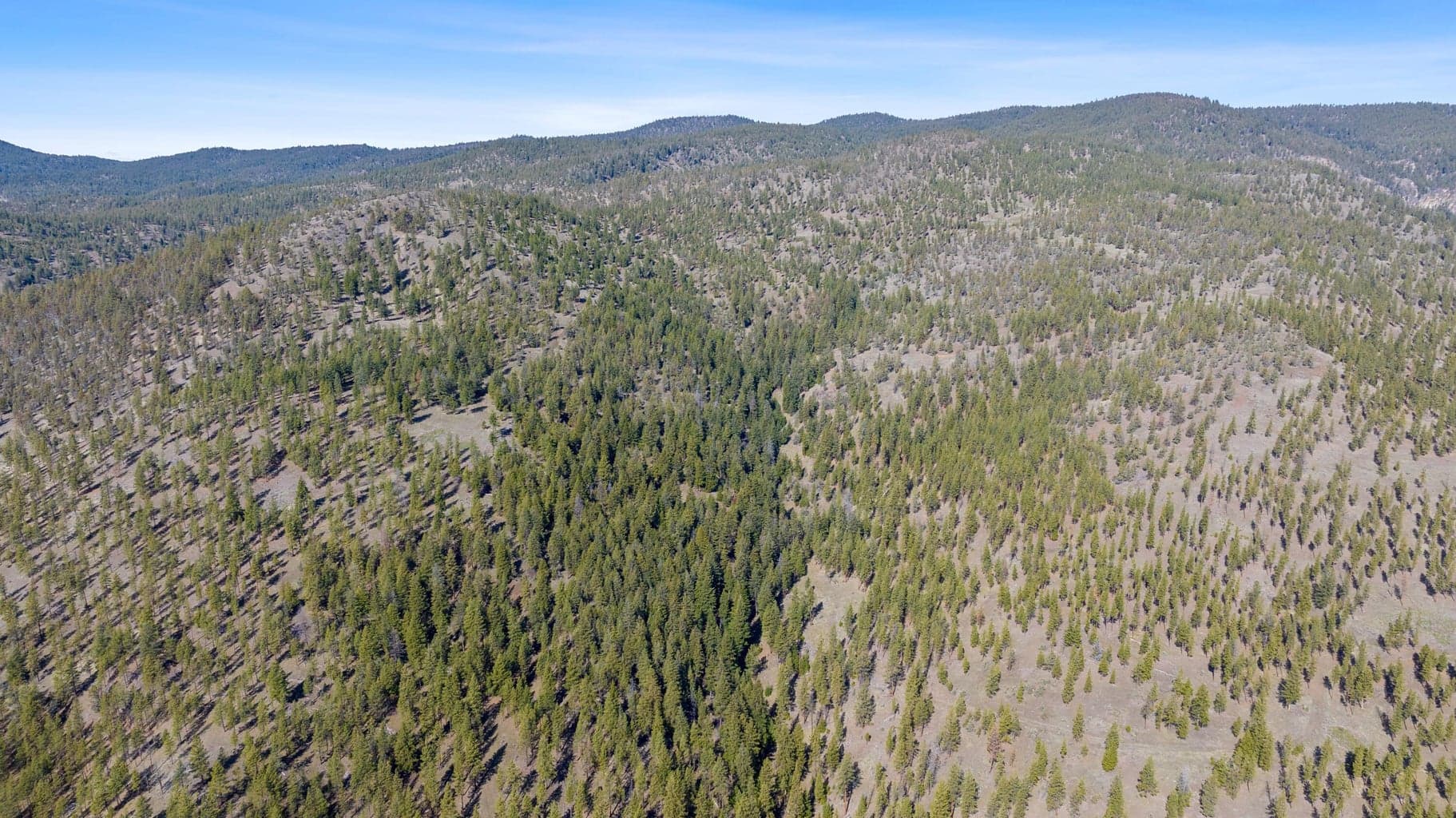 Photo of TBD Turner Creek Road 12 of 13