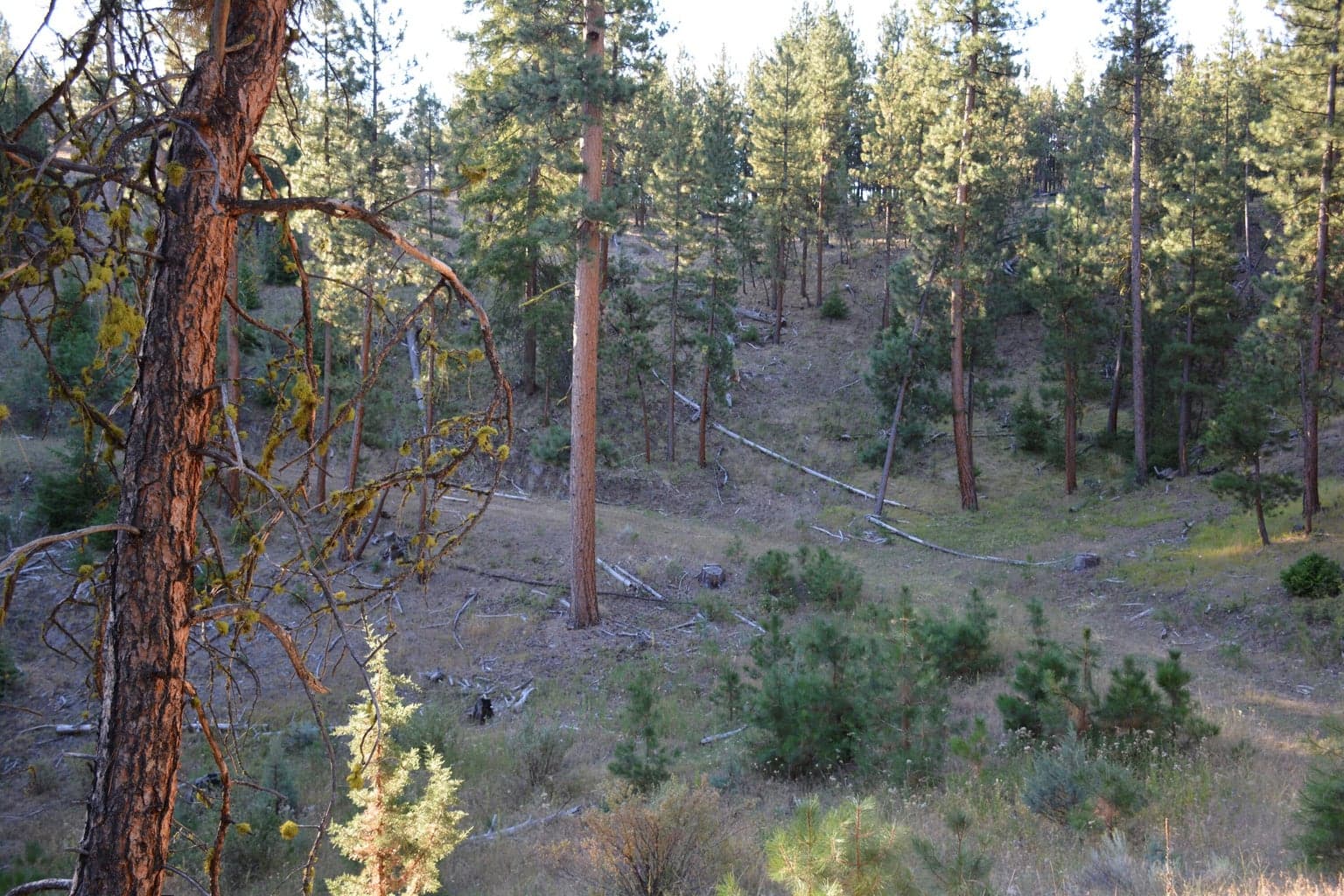Photo of TBD Turner Creek Road 13 of 13