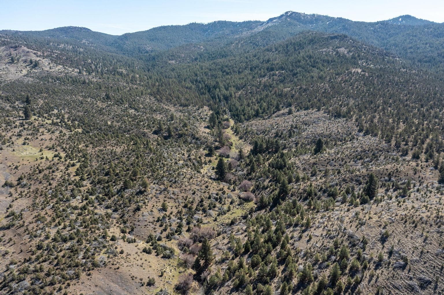 Photo of TBD NW Grizzly Road 7 of 40