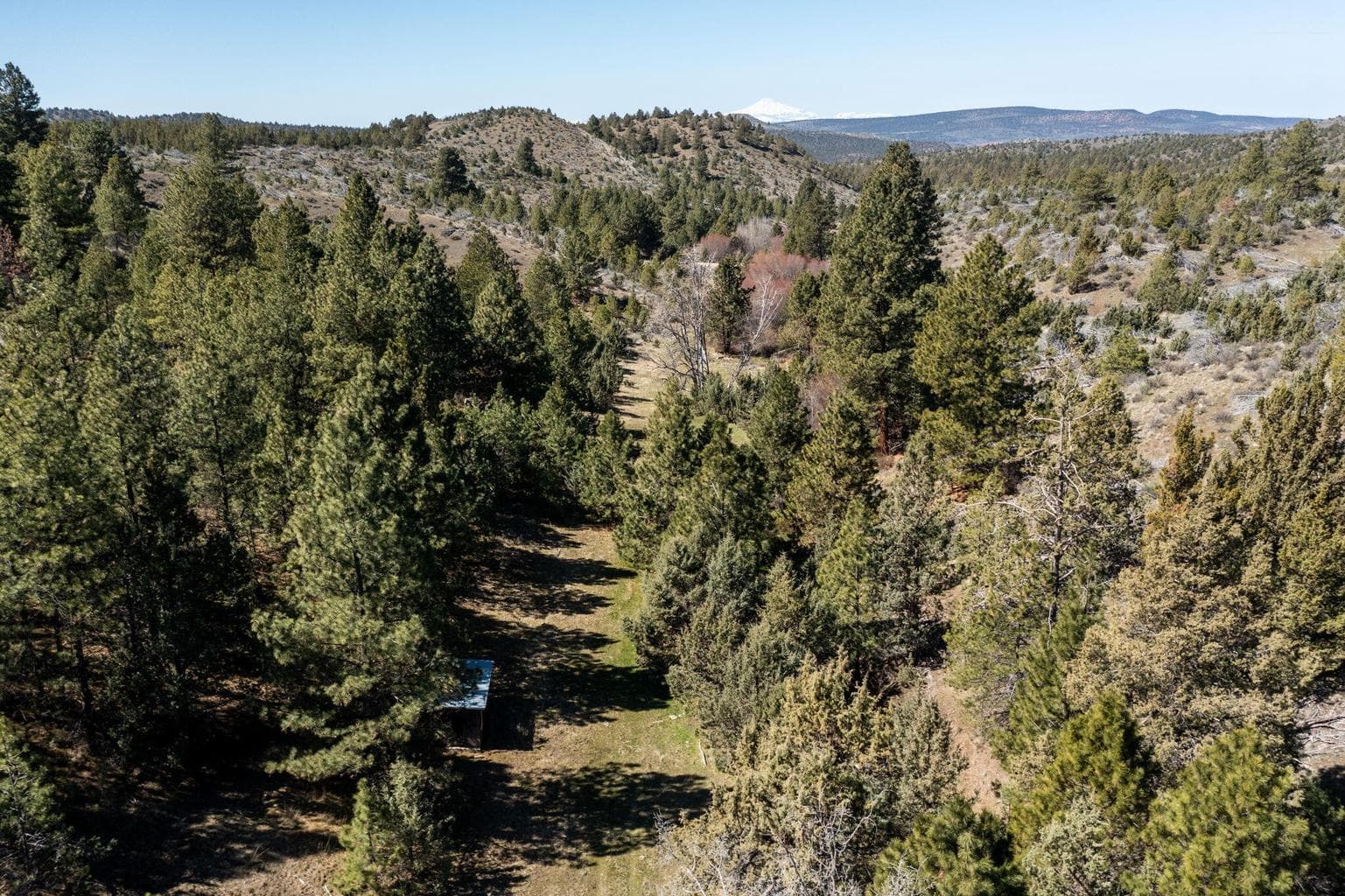 Photo of TBD NW Grizzly Road 19 of 40
