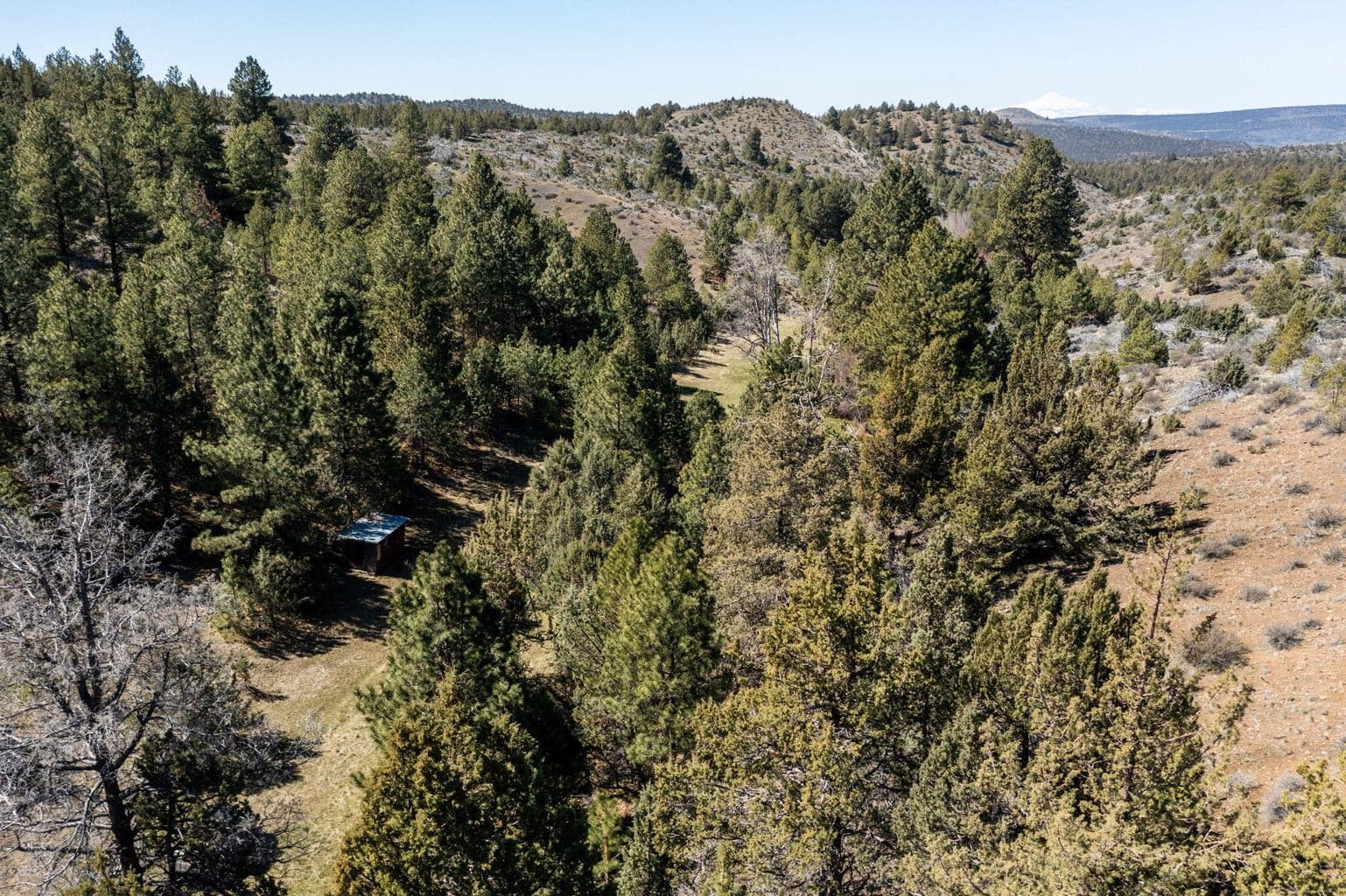 Photo of TBD NW Grizzly Road 20 of 40