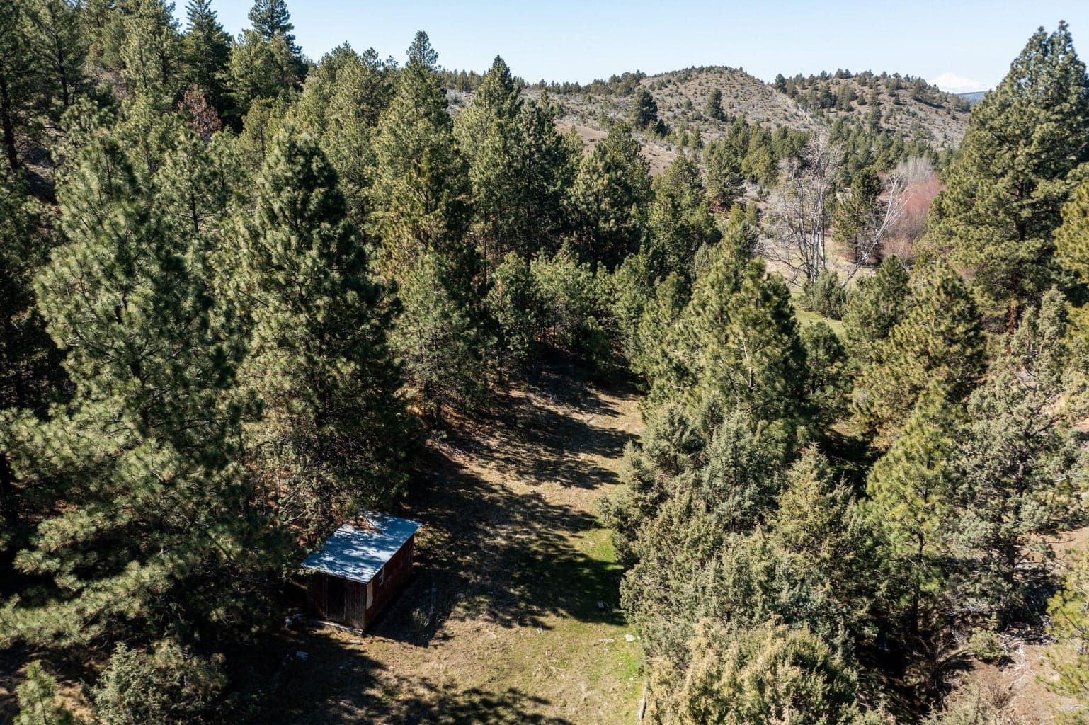 Photo of TBD NW Grizzly Road 21 of 40