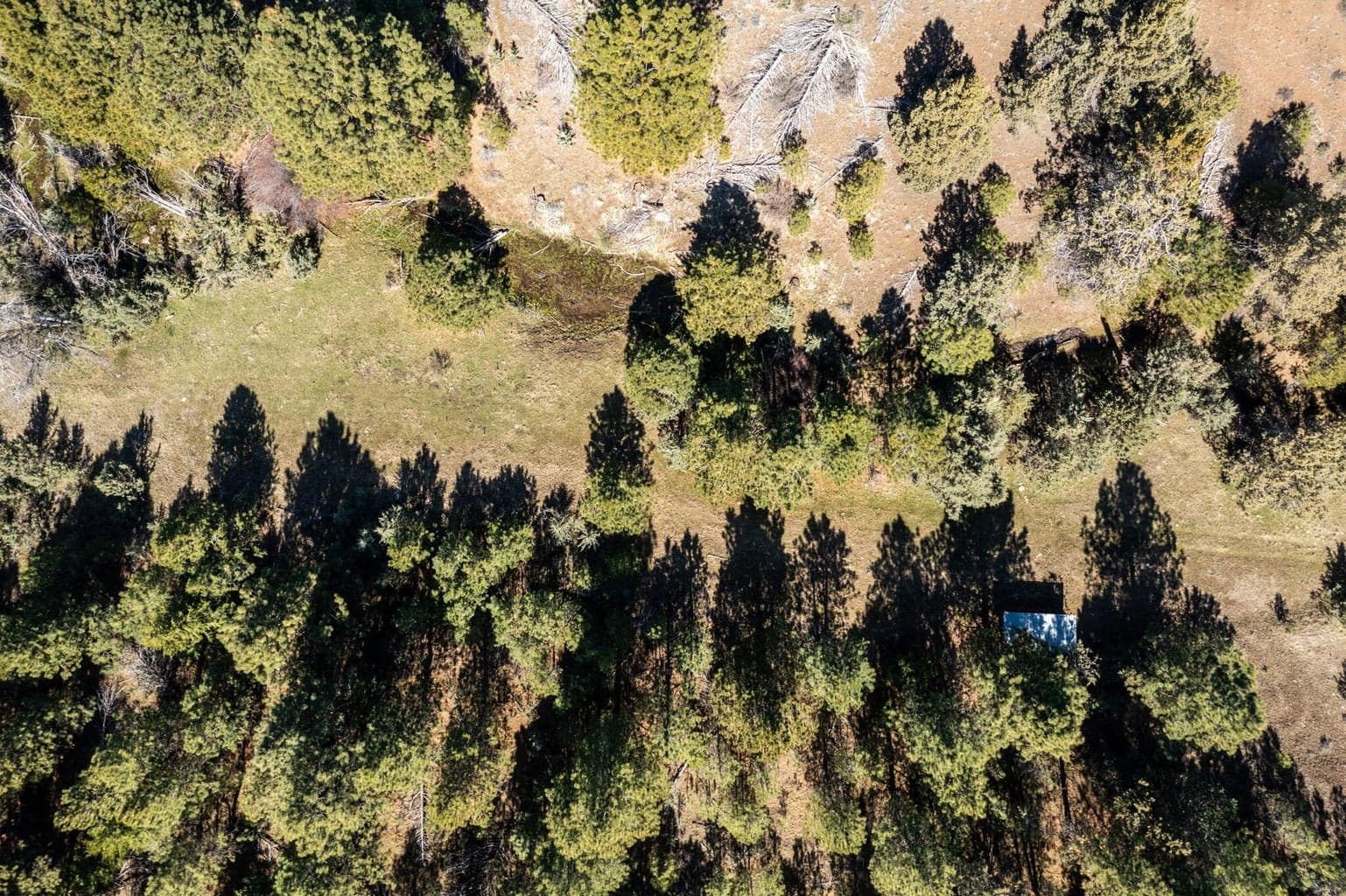 Photo of TBD NW Grizzly Road 23 of 40