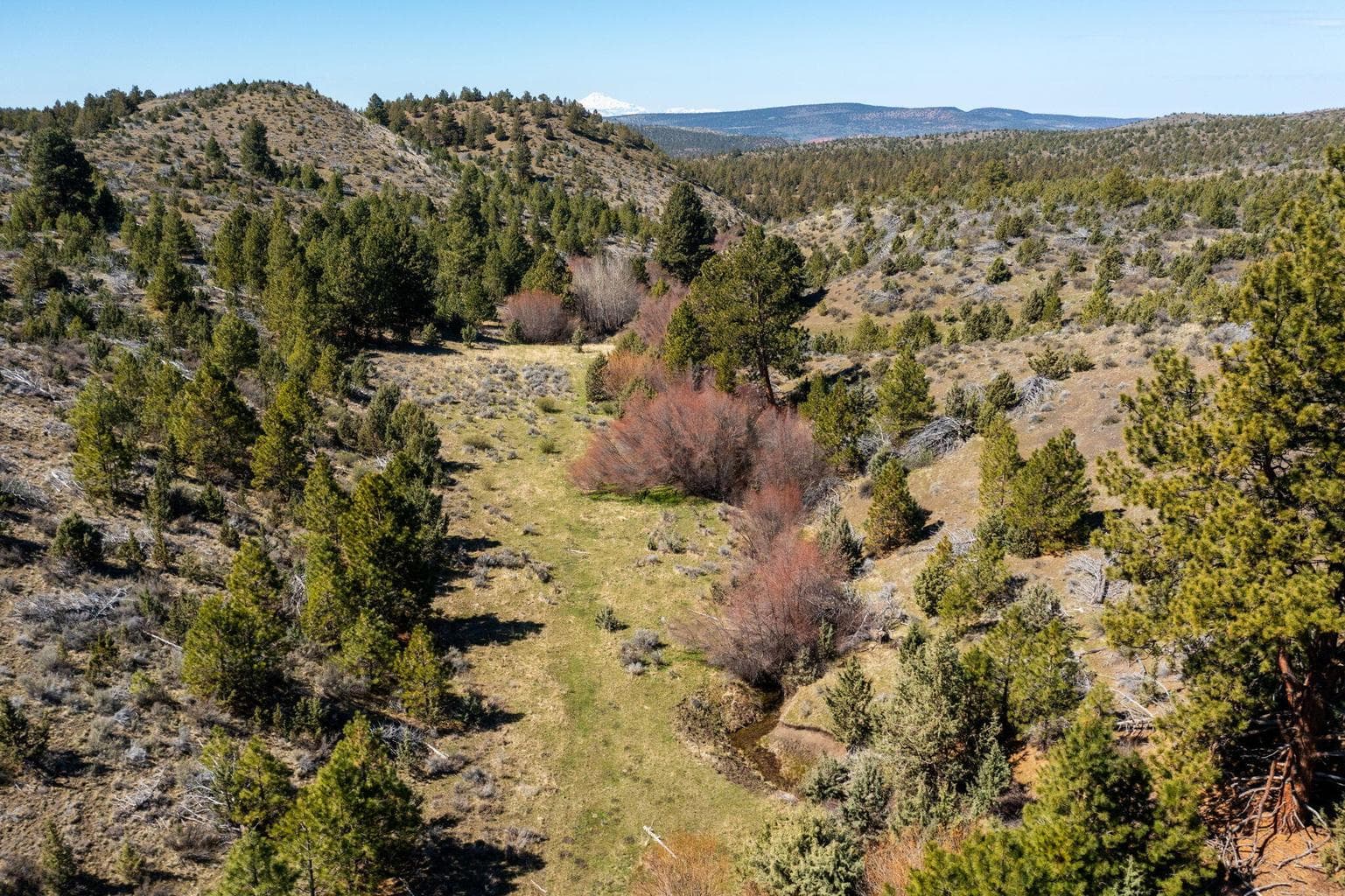 Photo of TBD NW Grizzly Road 24 of 40