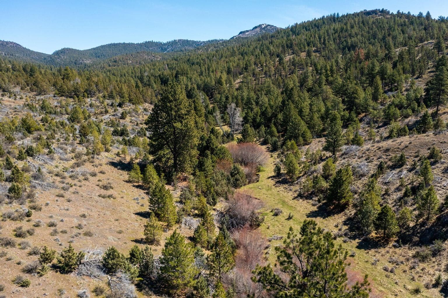 Photo of TBD NW Grizzly Road 25 of 40