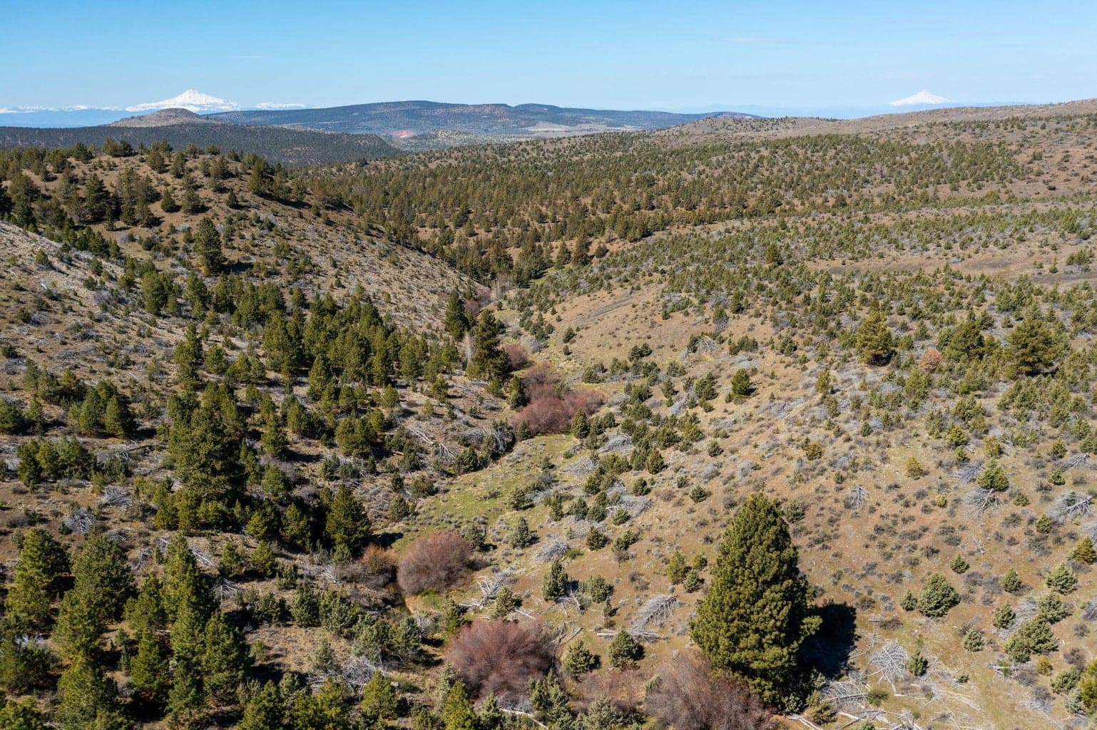 Photo of TBD NW Grizzly Road 26 of 40