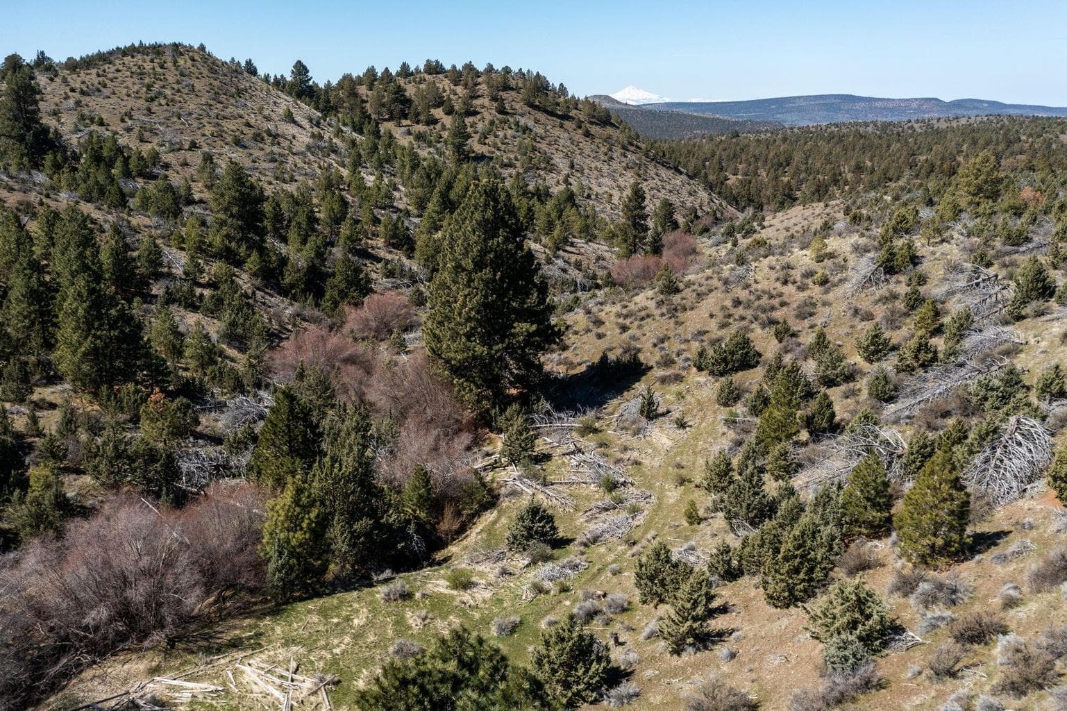 Photo of TBD NW Grizzly Road 27 of 40