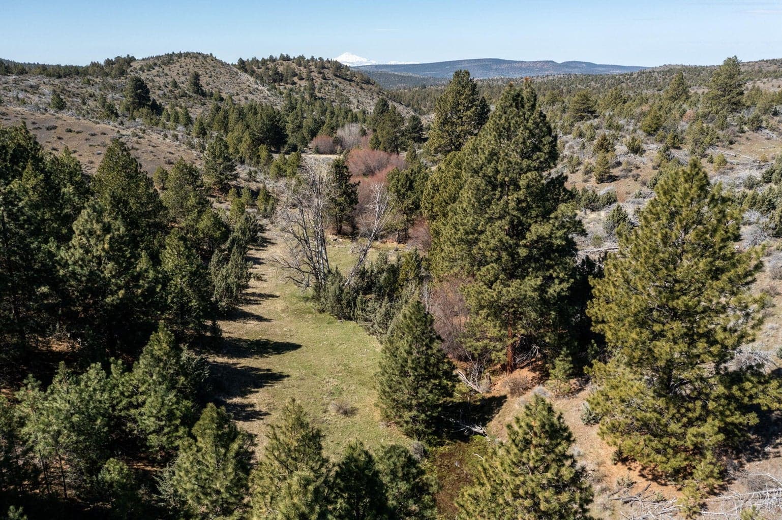 Photo of TBD NW Grizzly Road 29 of 40
