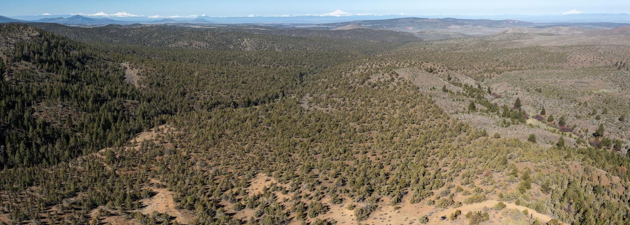 Photo of TBD NW Grizzly Road 31 of 40