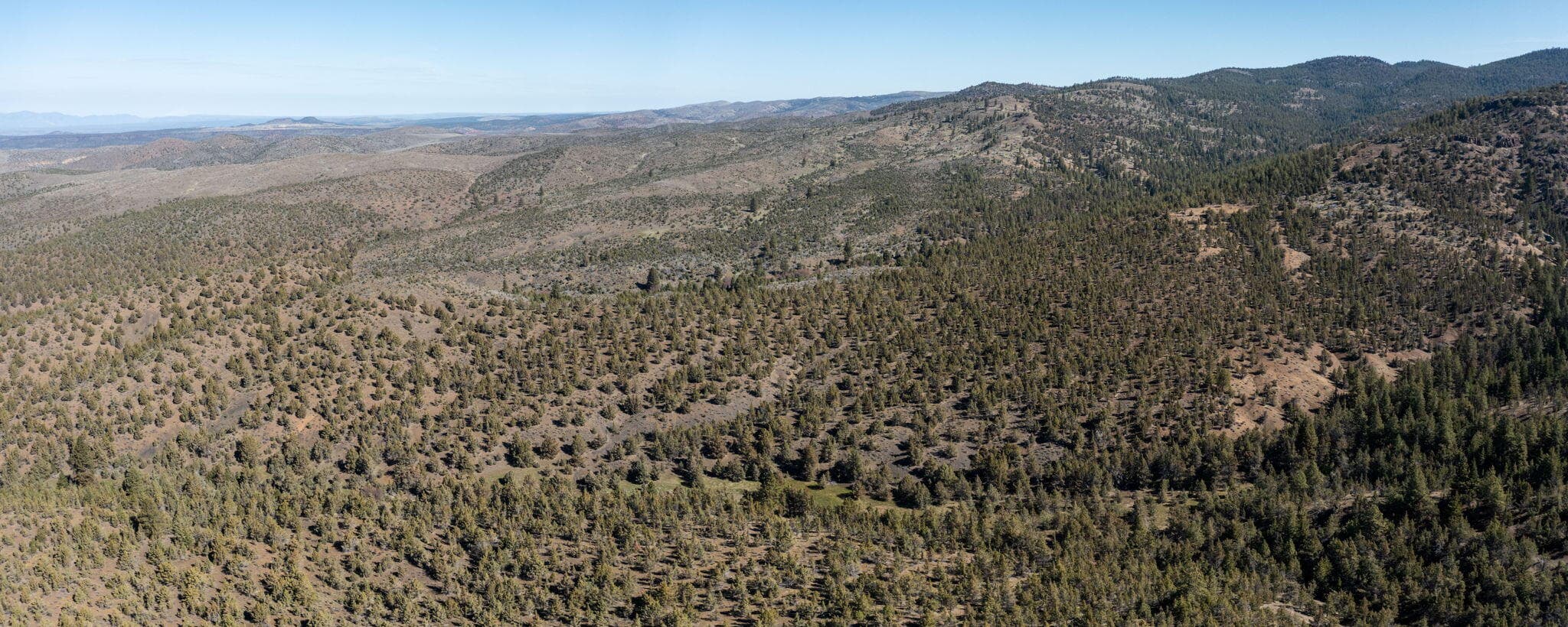 Photo of TBD NW Grizzly Road 33 of 40