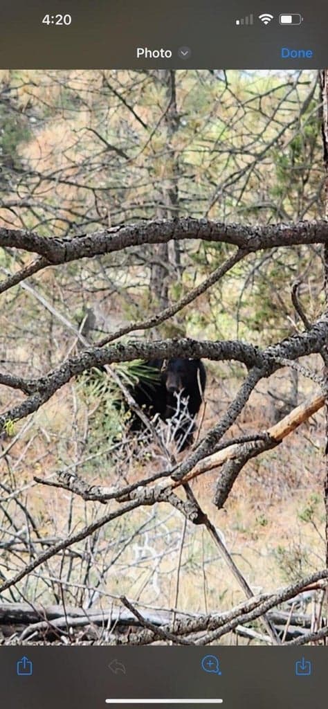 Photo of TBD NW Grizzly Road 38 of 40
