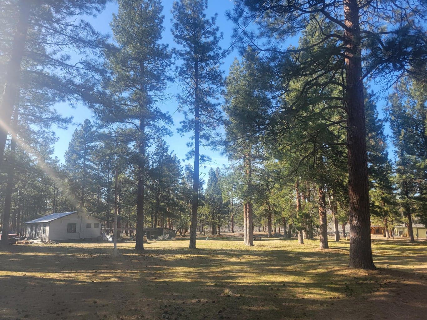 Photo of 74543 31 3 of 17