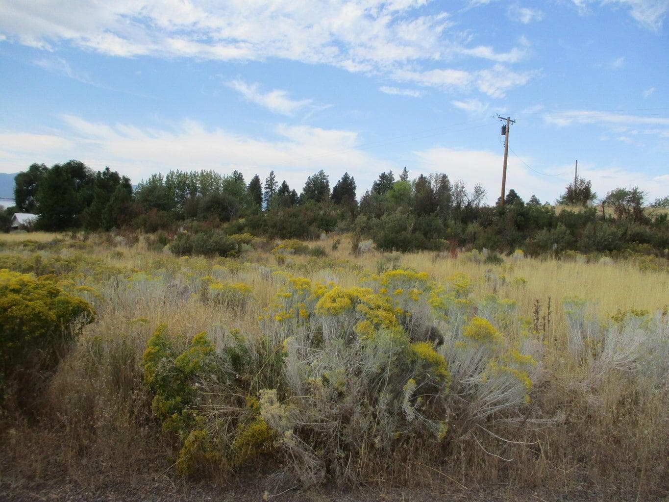 Photo of Lot 4 Elida 4 of 6