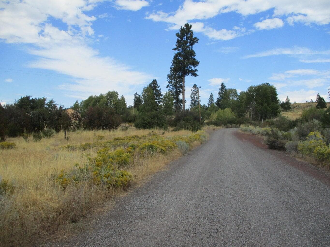 Photo of Lot 4 Elida 5 of 6