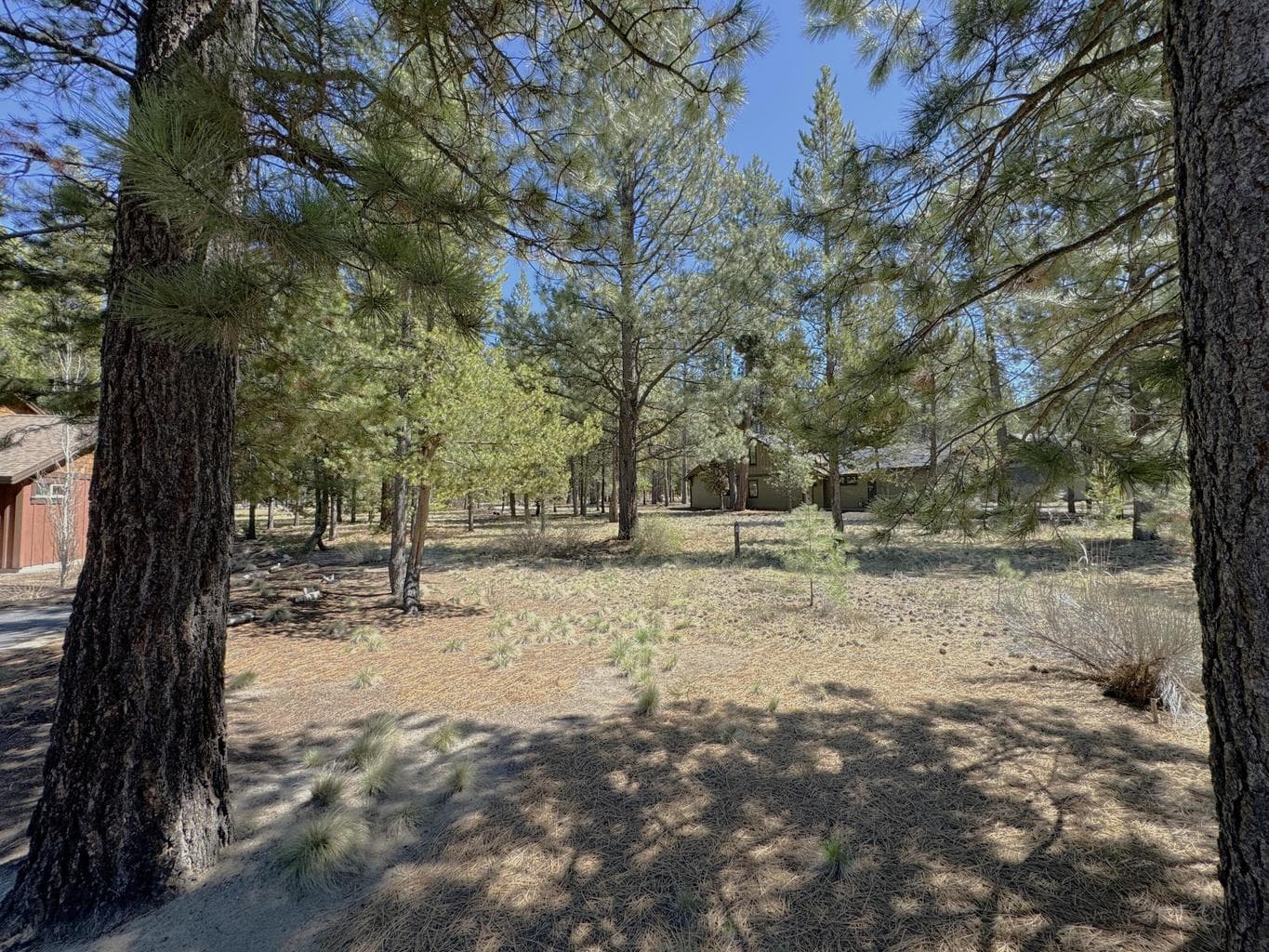Photo of 56290 Sable Rock Loop 11 of 22