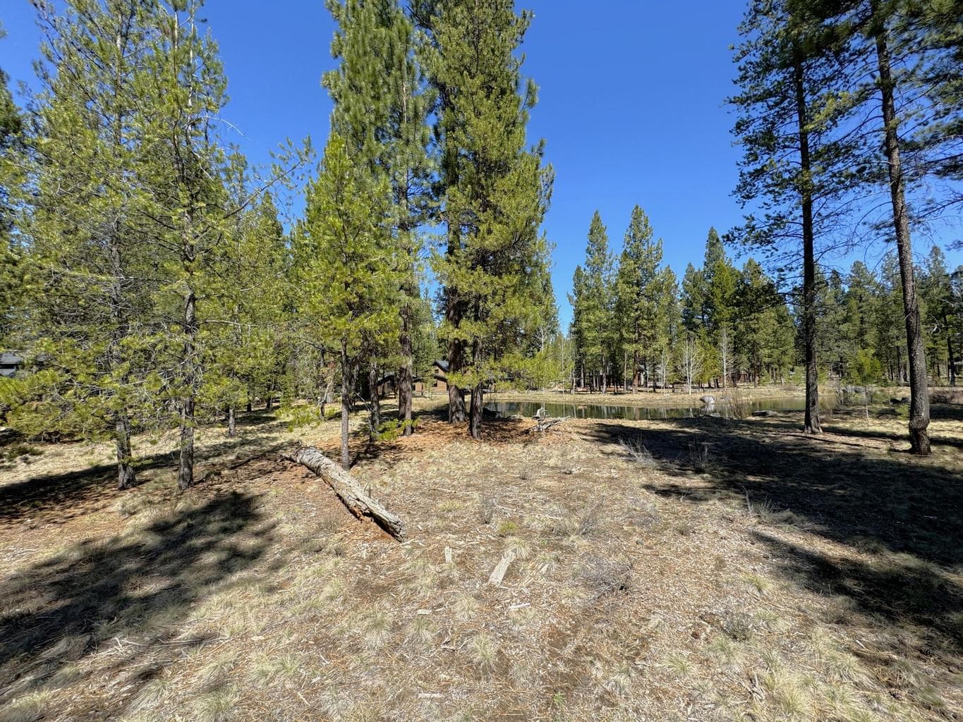 Photo of 56290 Sable Rock 5 of 22