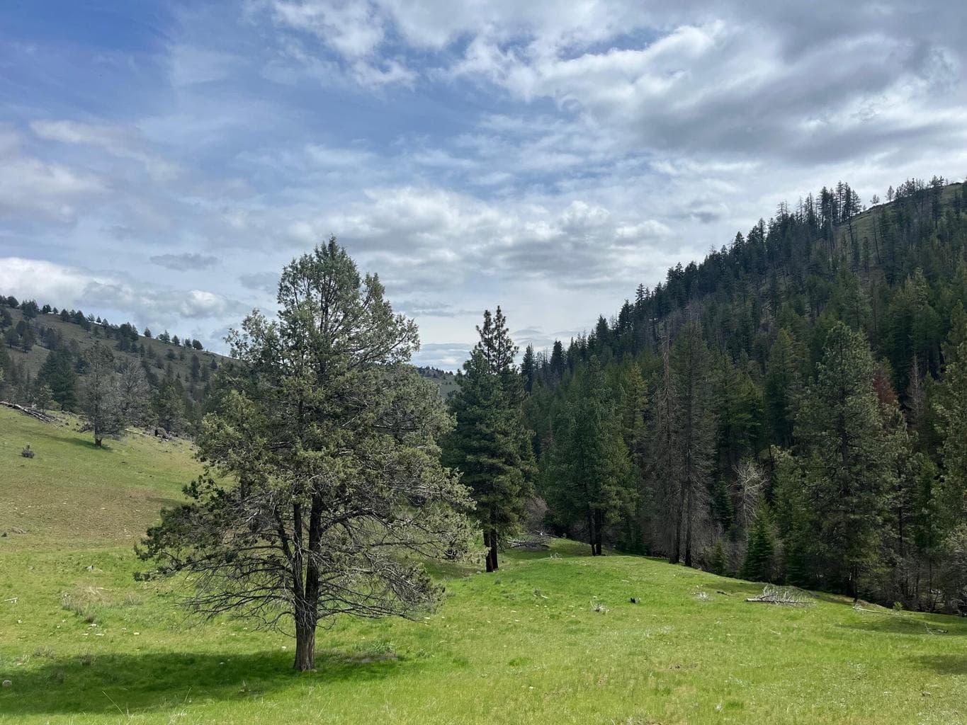 Wind Creek Lane, Dayville, 97825