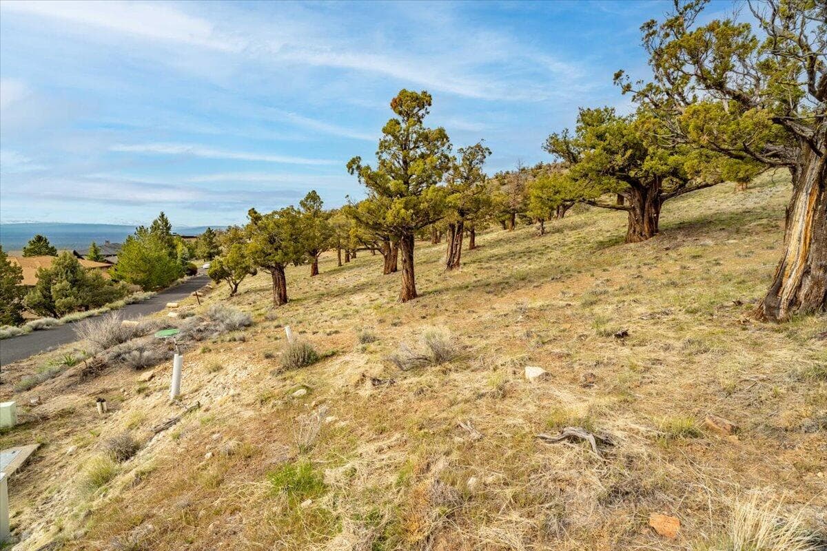 Photo of 10930 Summit Ridge Court 16 of 43