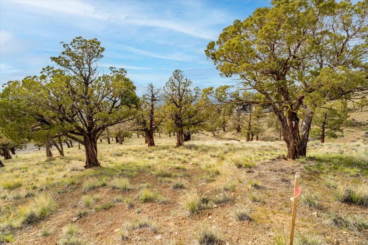 Photo of 10930 Summit Ridge Court 20 of 43