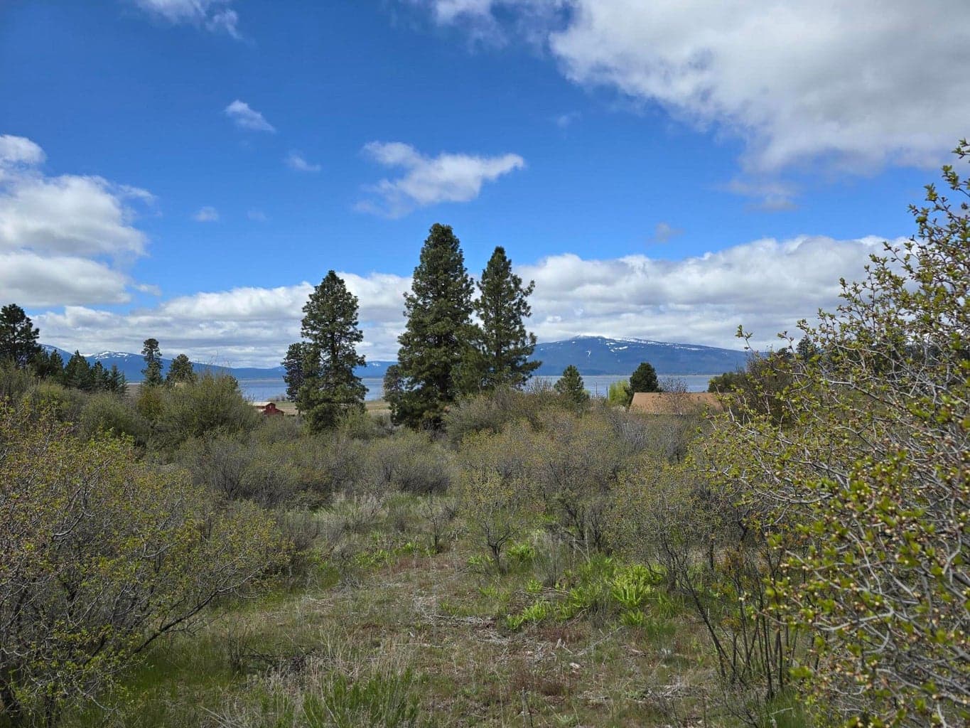 Photo of TL 3507-018AB-04400 3 of 11