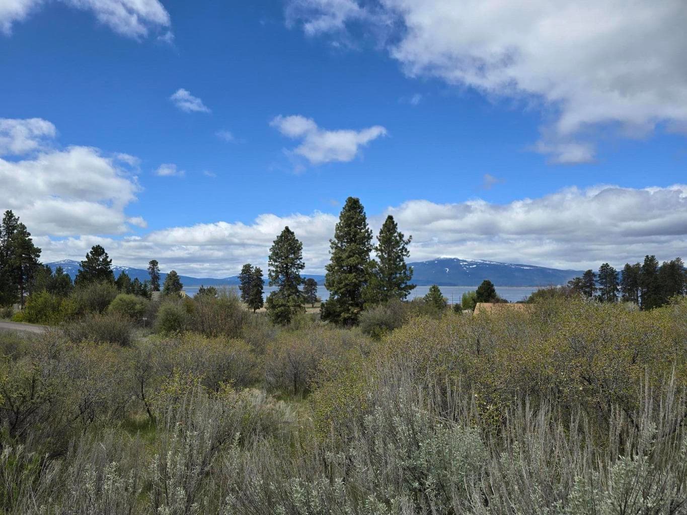 Photo of TL 3507-018AB-04400 4 of 11