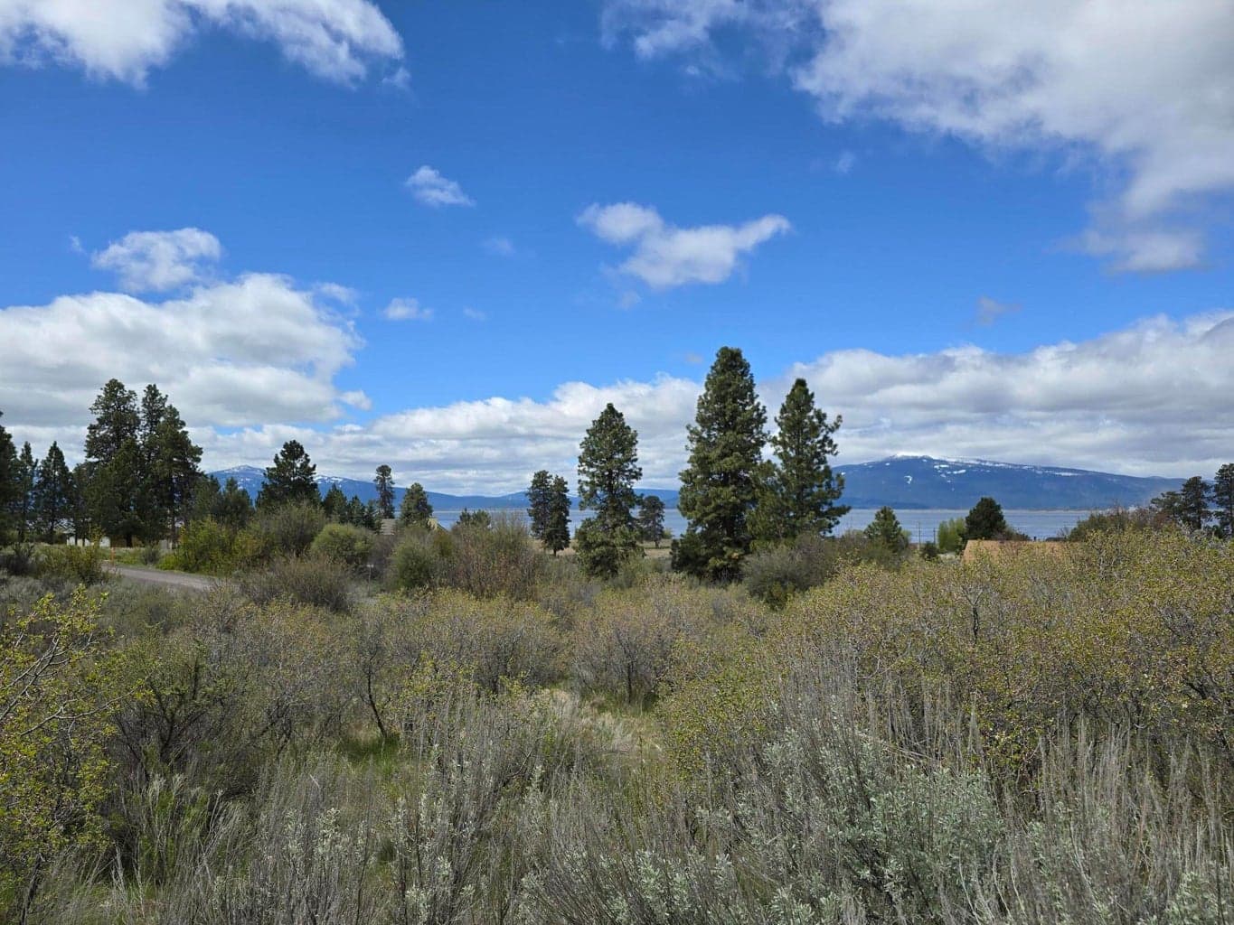 Photo of TL 3507-018AB-04400 5 of 11