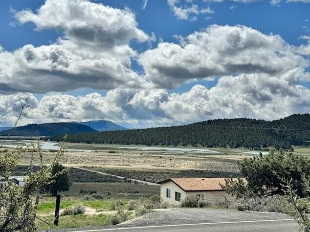 View from the property