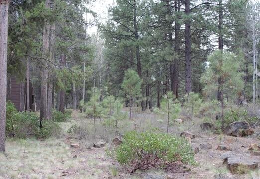 Photo of 57367 Beaver Ridge Loop 2 of 22