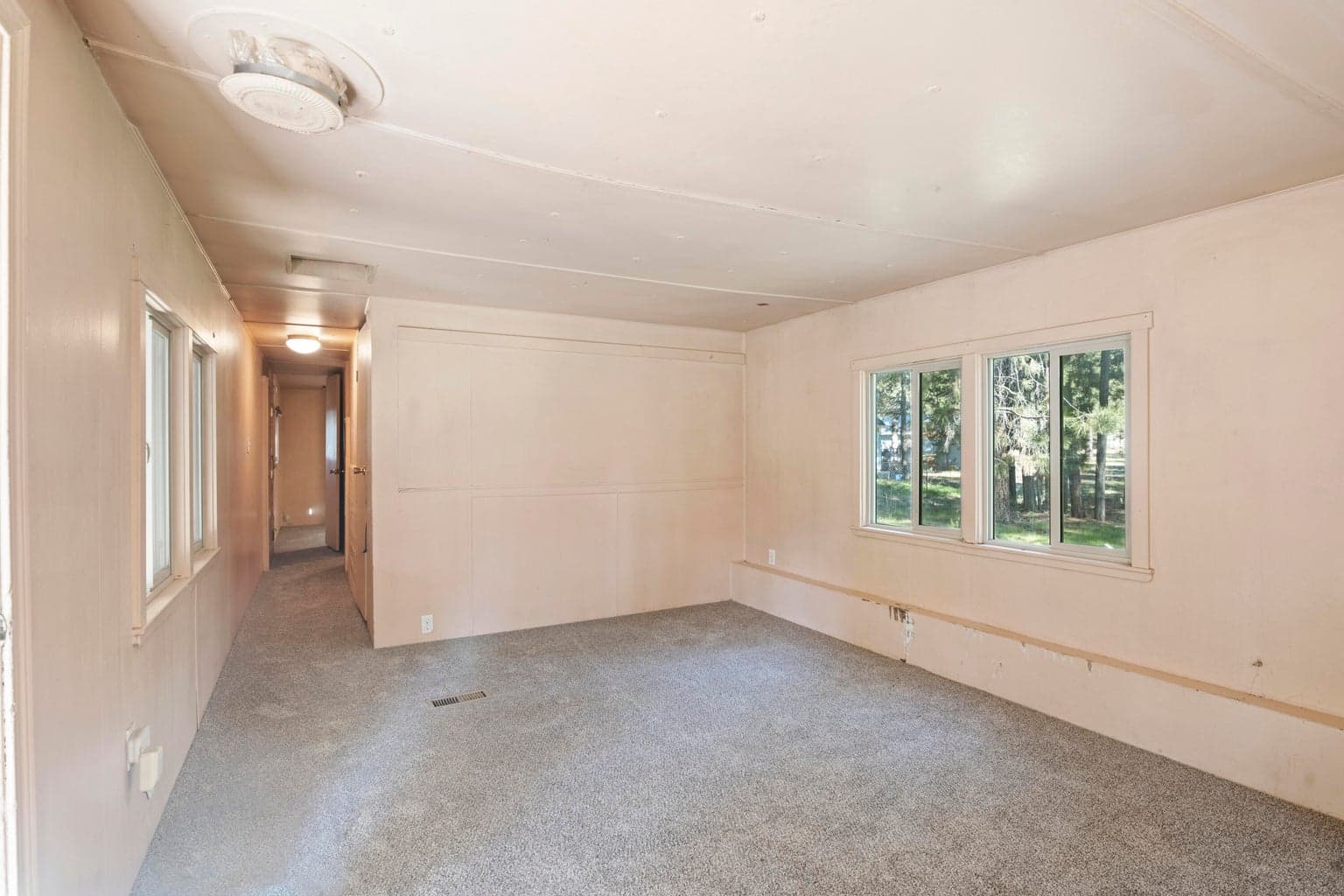 Photo of 52678 Golden Astor 2 of 37