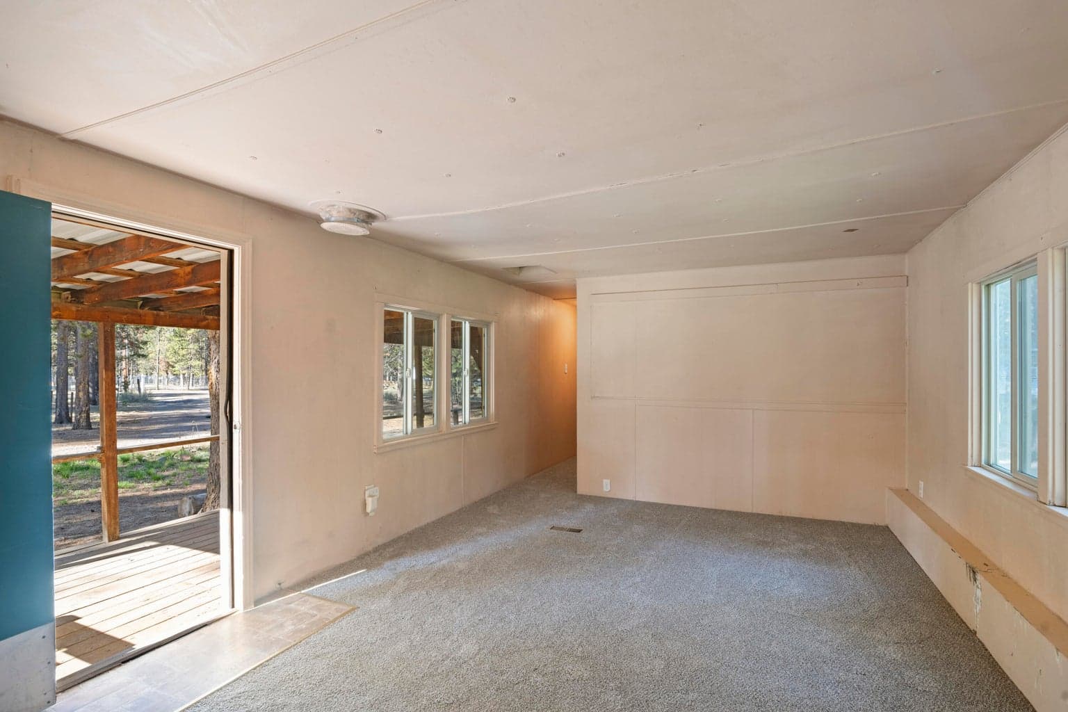 Photo of 52678 Golden Astor 3 of 37
