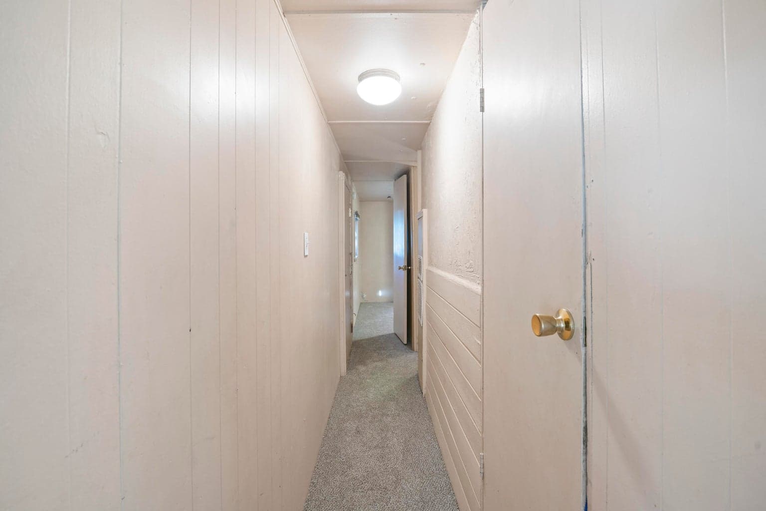 Photo of 52678 Golden Astor 4 of 37