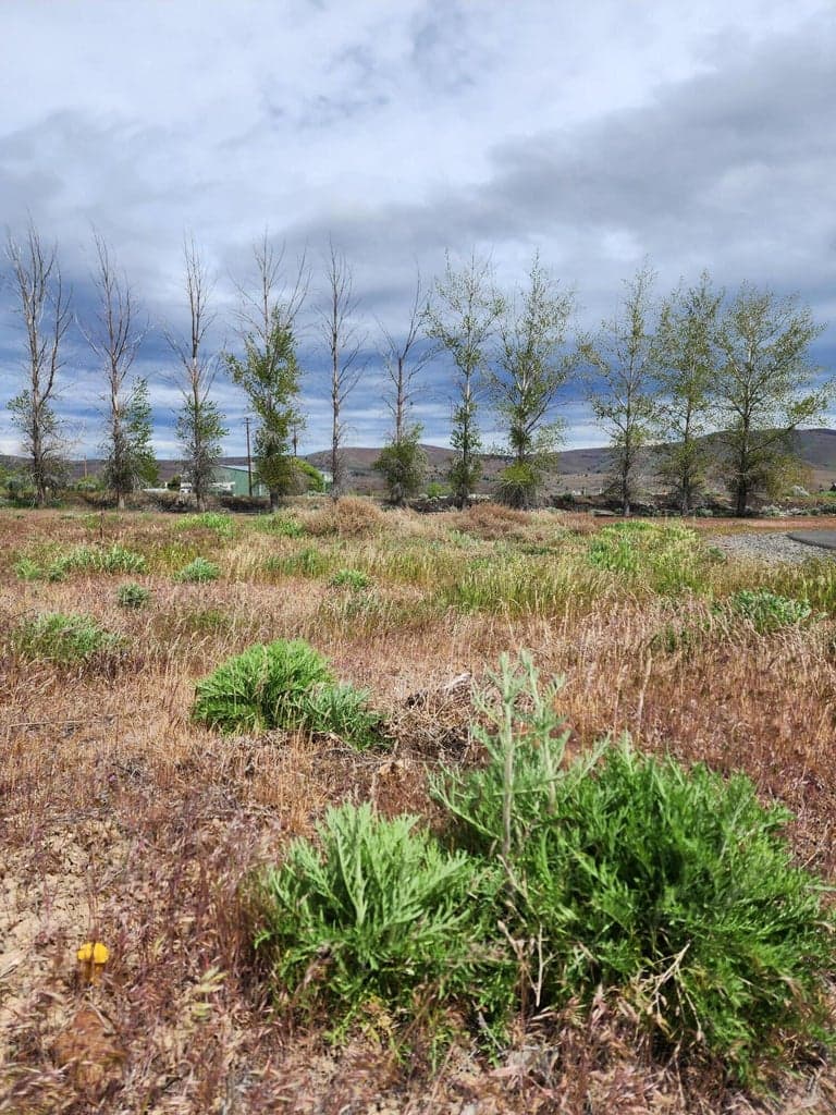 308 Little Lake, Maupin, 97037
