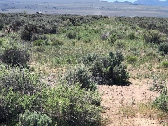 Photo of UNDETERMINED SITUS ADDRESS 4 of 13