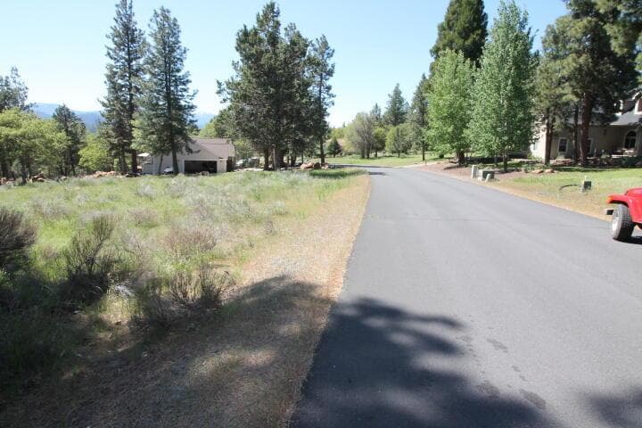 Photo of Lot 239 Kestrel 2 of 9