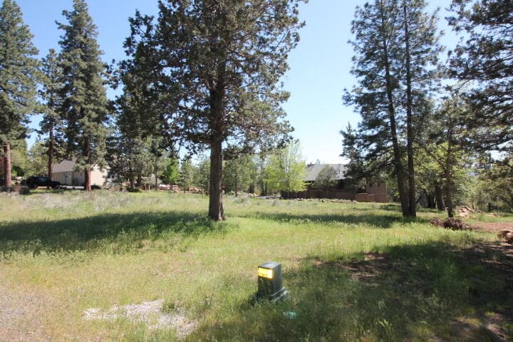 Photo of Lot 239 Kestrel 4 of 9