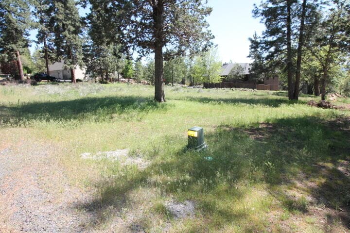 Photo of Lot 239 Kestrel 5 of 9