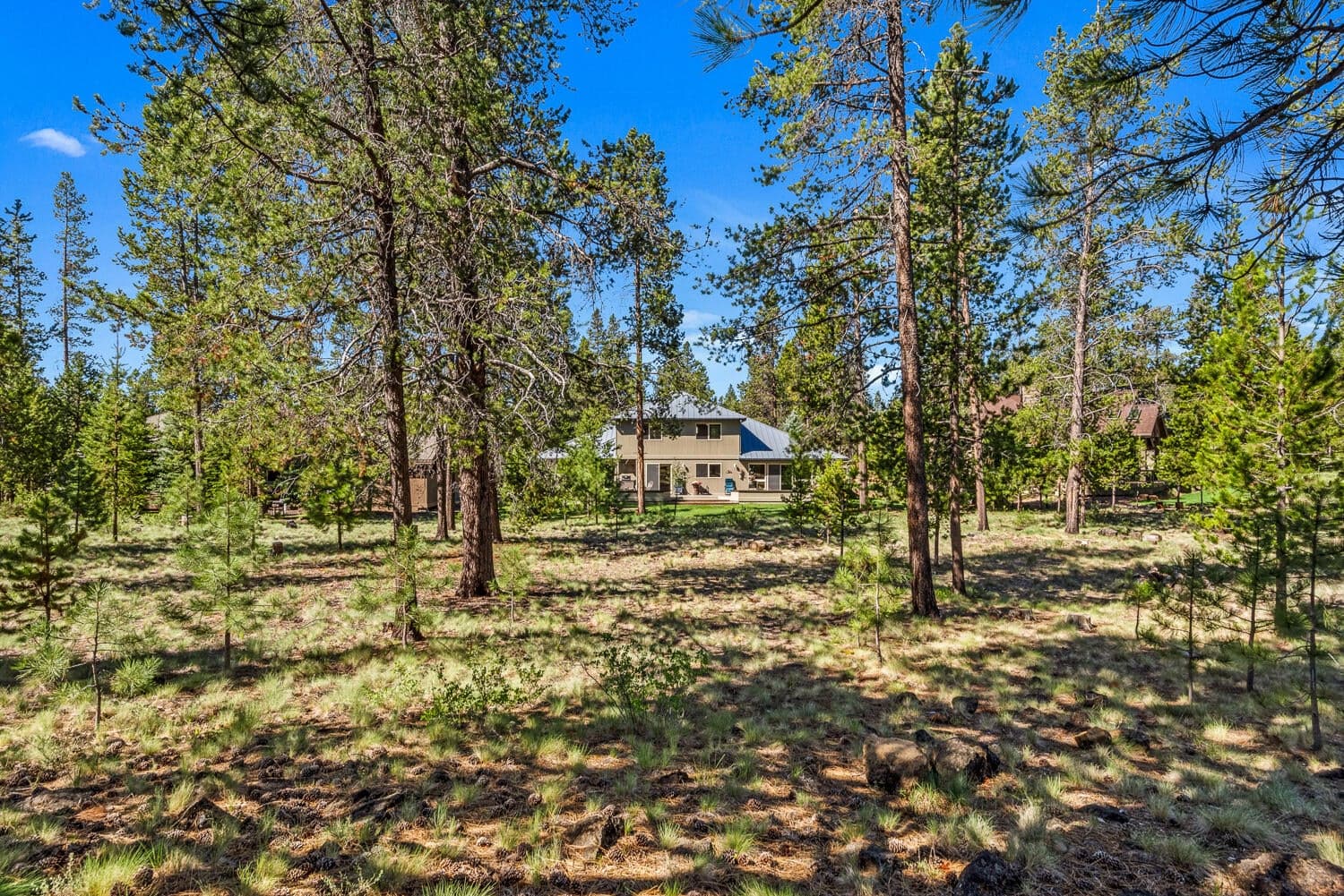 Photo of 18138 Maury Mountain Lane 46 of 47